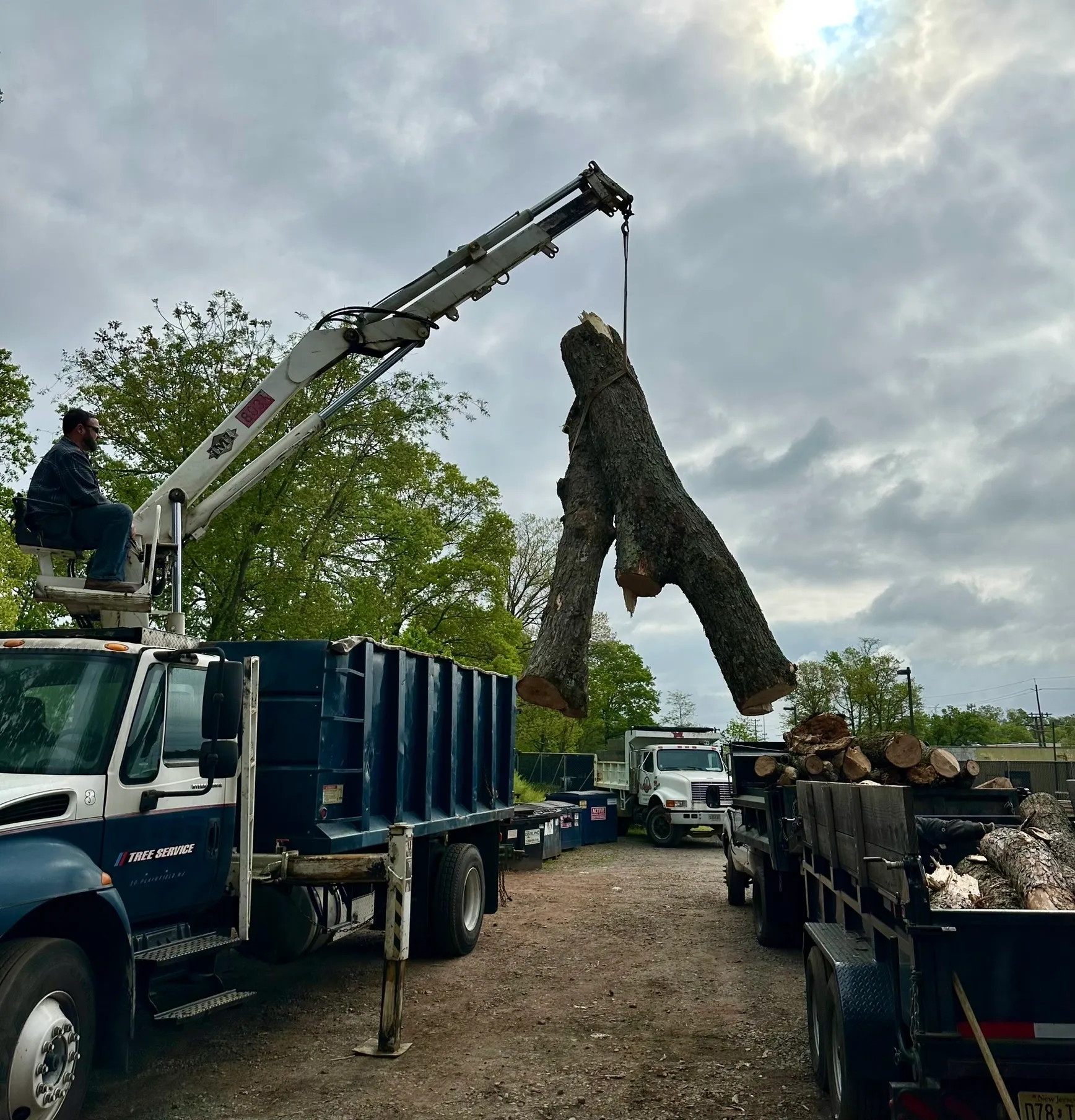 Lot & Land Clearing
